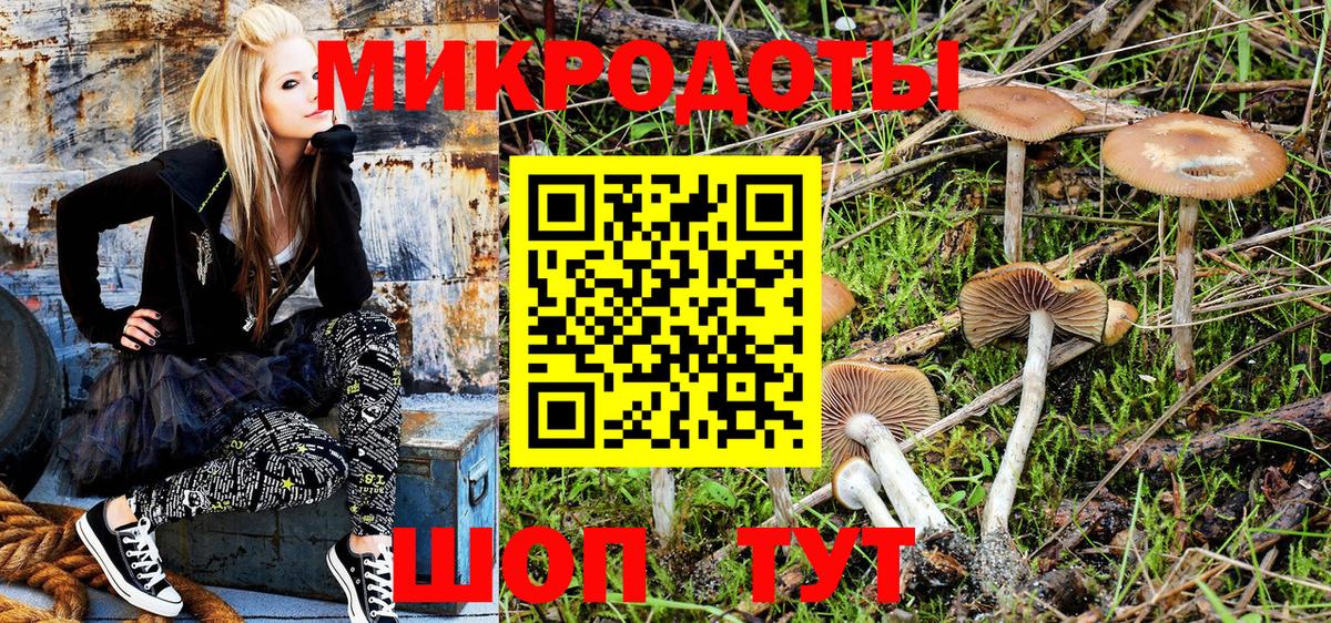 Галлюциногенные грибы Cubensis Междуреченск