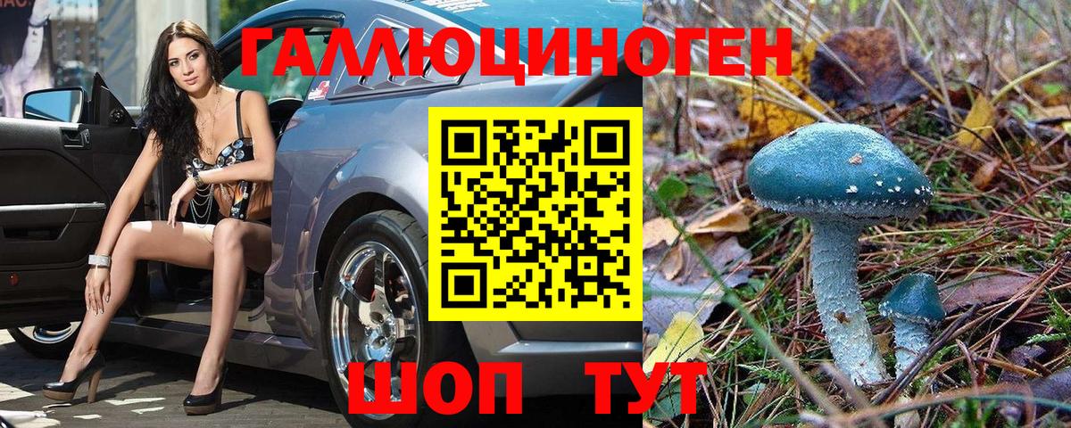Междуреченск  Псилоцибиновые грибы MAGIC MUSHROOMS  наркотики  Вход с VPN  Галлюциногенные грибы мухоморы 
